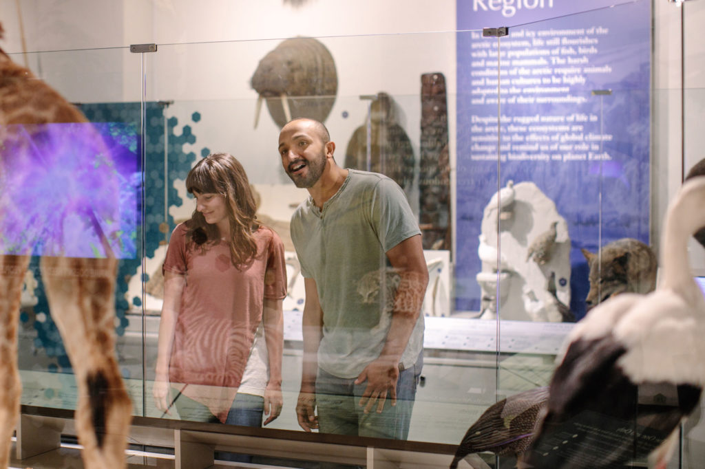 Exhibits Buffalo Museum of Science