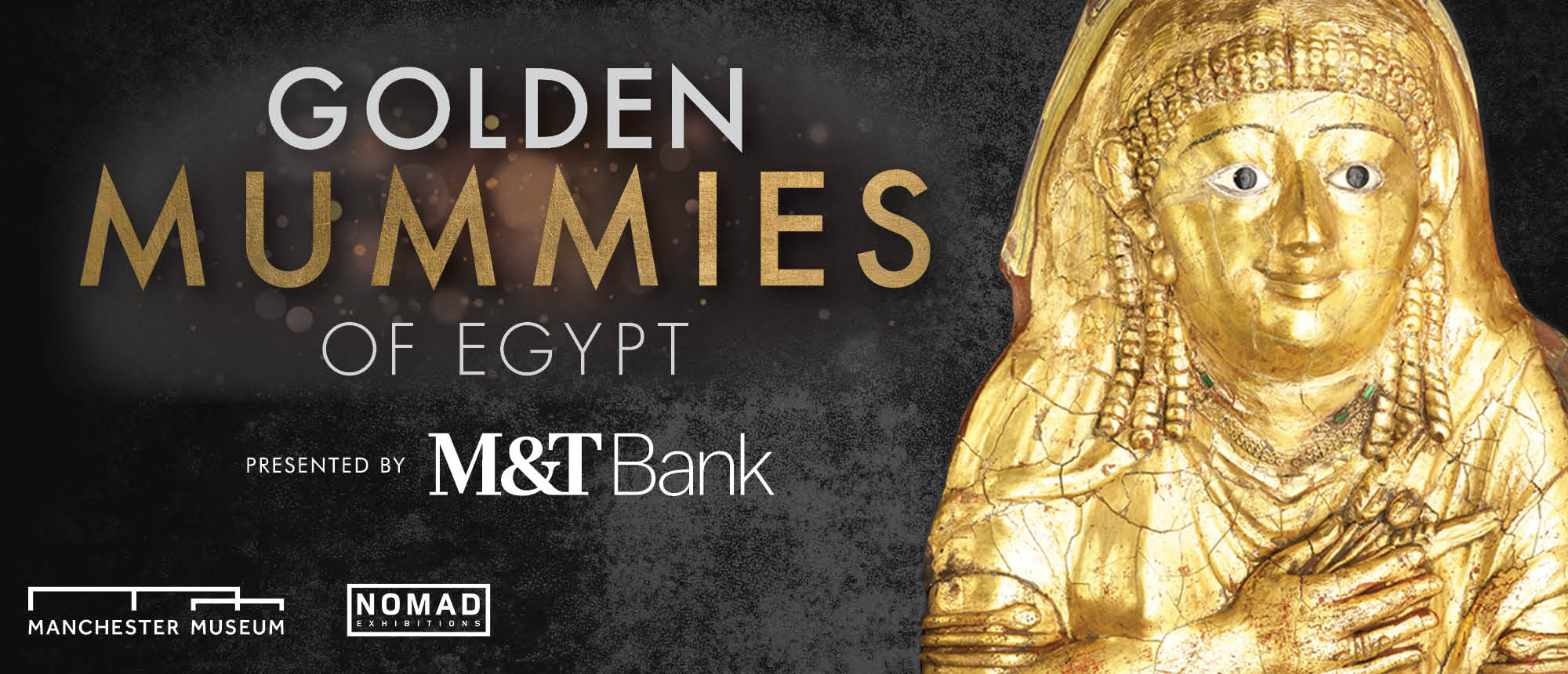 Golden Mummies of Egypt Golden WebsiteHeader - Golden Mummies of Egypt