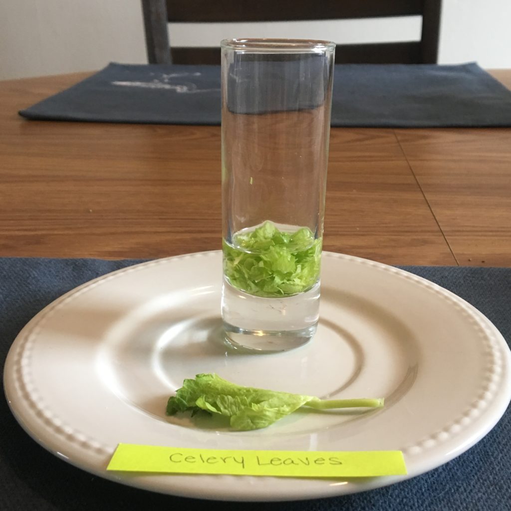 Plant Pigments - Buffalo Museum of Science