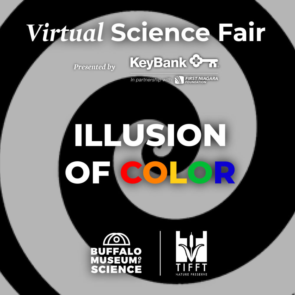 Optical illusions science fair project