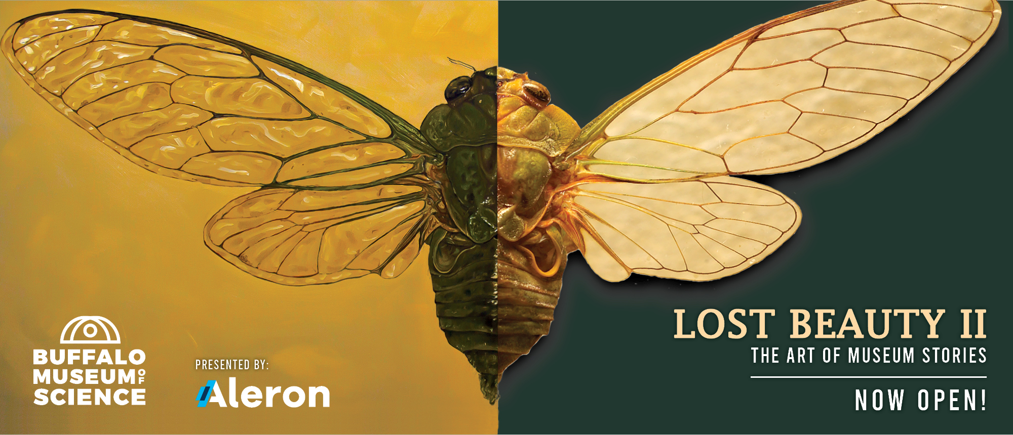 Lost Beauty II LBII WebHeader2 1 - Lost Beauty II